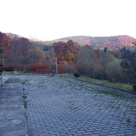 Pensiunea Tranzit Sinaia Exterior foto